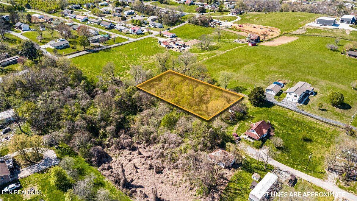  Island Ford Rd - Photo 1