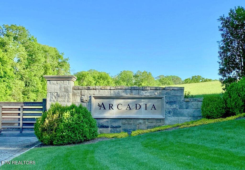 0 Arcadia Peninsula Way - Photo 1