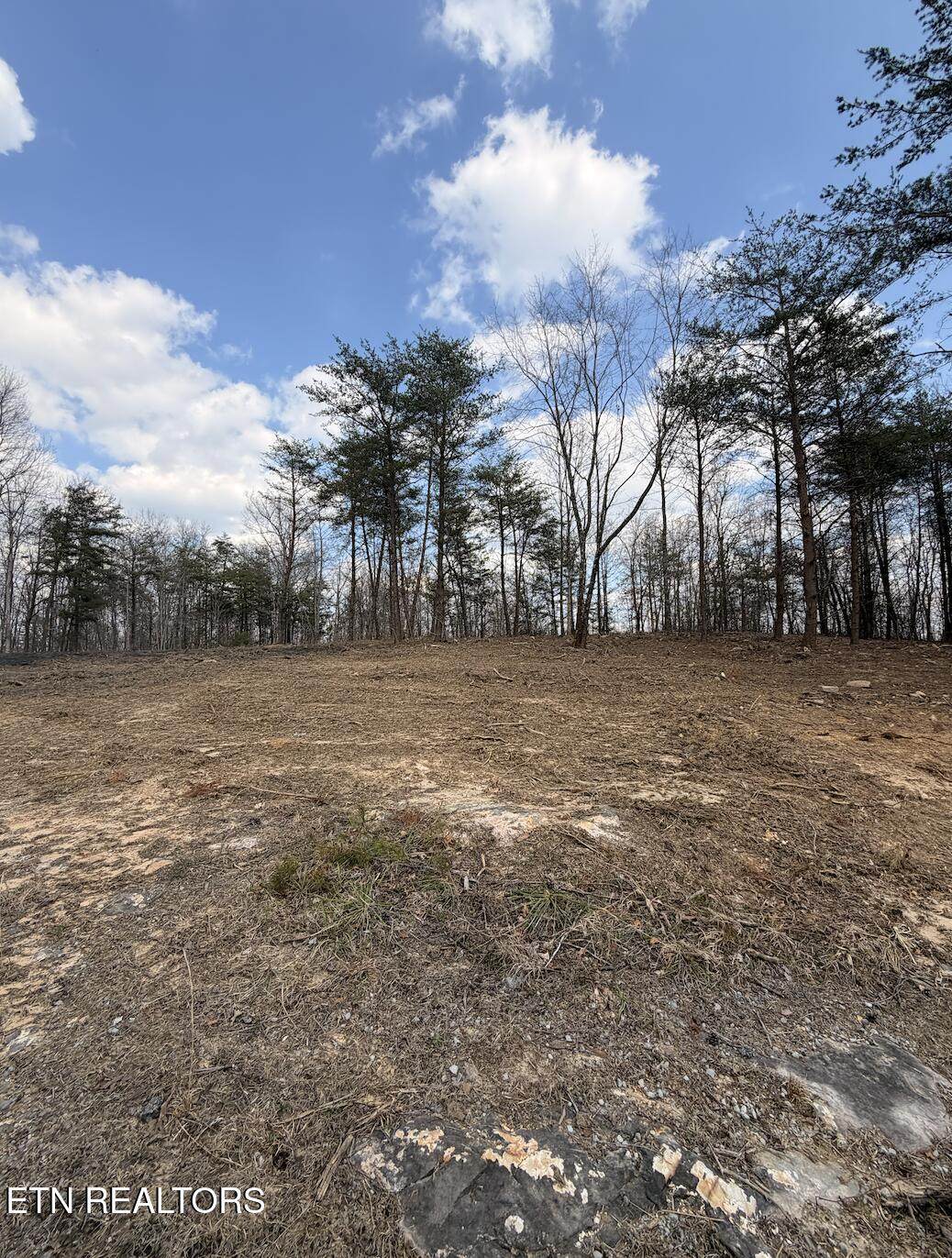 Lot 3 Claysville Rd. - Photo 1