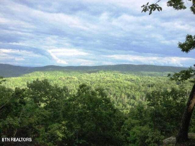  Lot 12 Green Ridge Tr - Photo 1