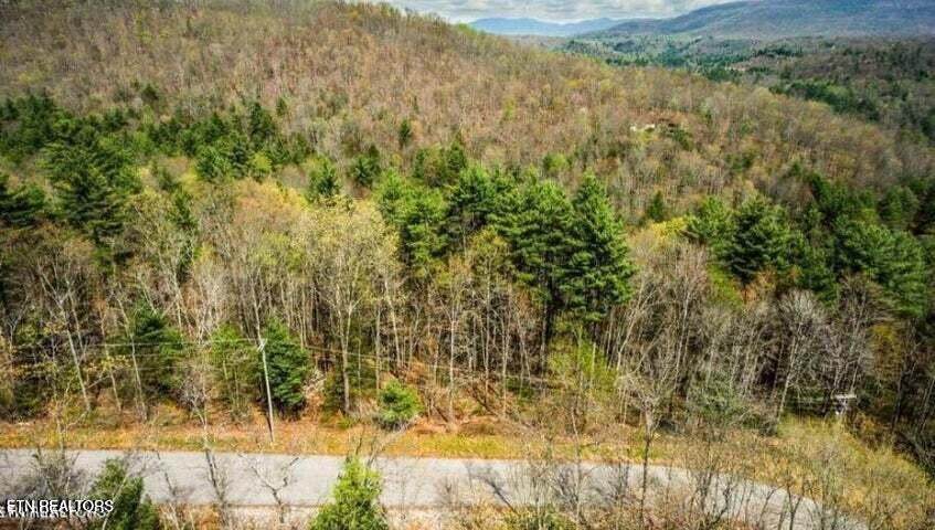  Lot 38 Green Ridge Tr - Photo 1
