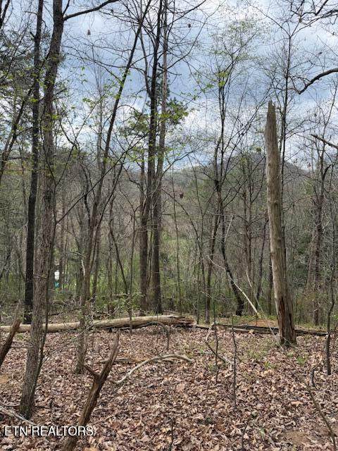 151 Hennessey Mtn / Brisk Way - Photo 1