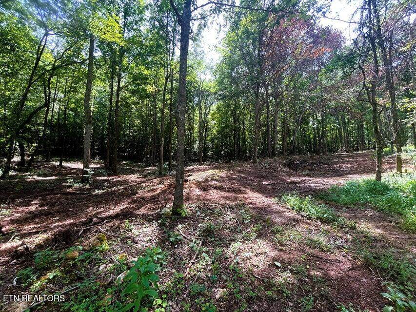 Tract 8 Pleasant Hill Rd - Photo 1