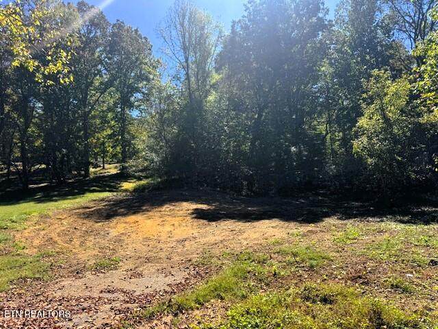 Tract 9 Pleasant Hill Rd - Photo 1