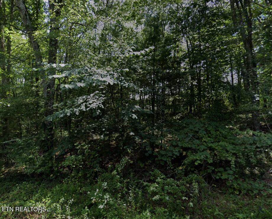 7014 Ute Lane - Photo 1