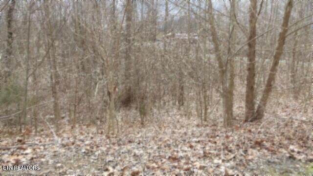 5.51ac Beaver Lane - Photo 1
