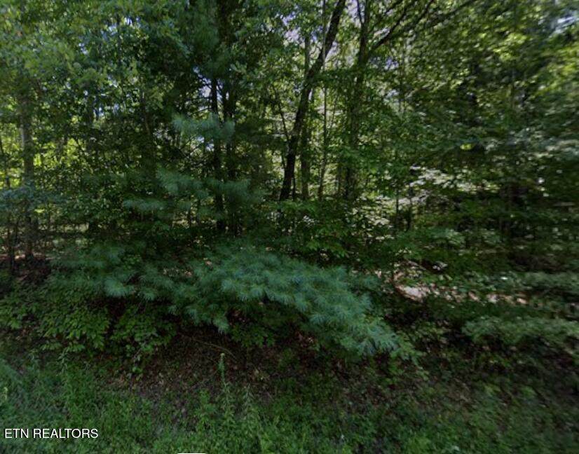 4026 Desoto Drive - Photo 1