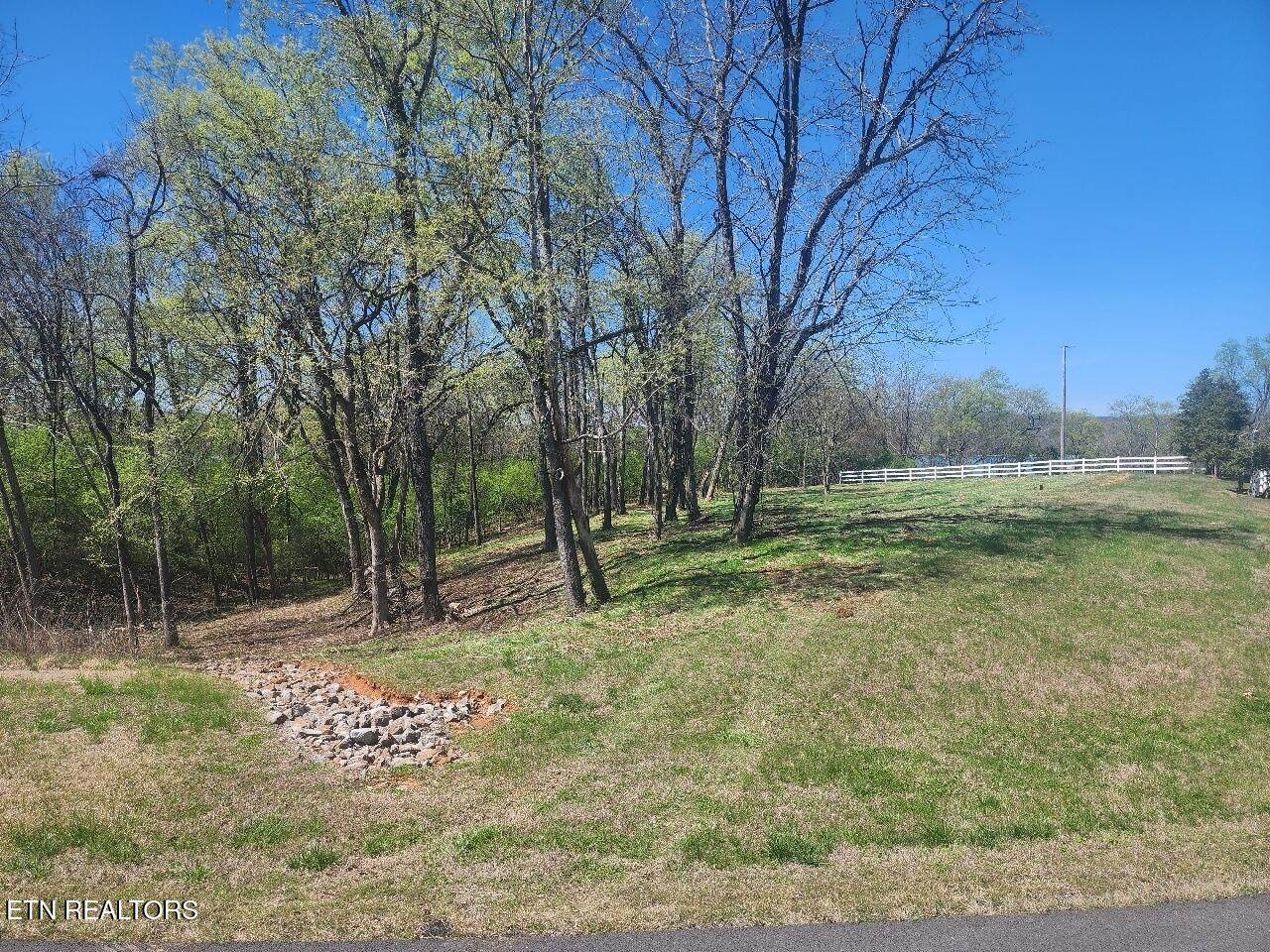 Lot 237 Shore Drive - Photo 1