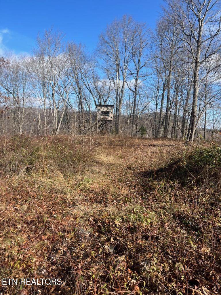  Howard Baker Hwy - Photo 1