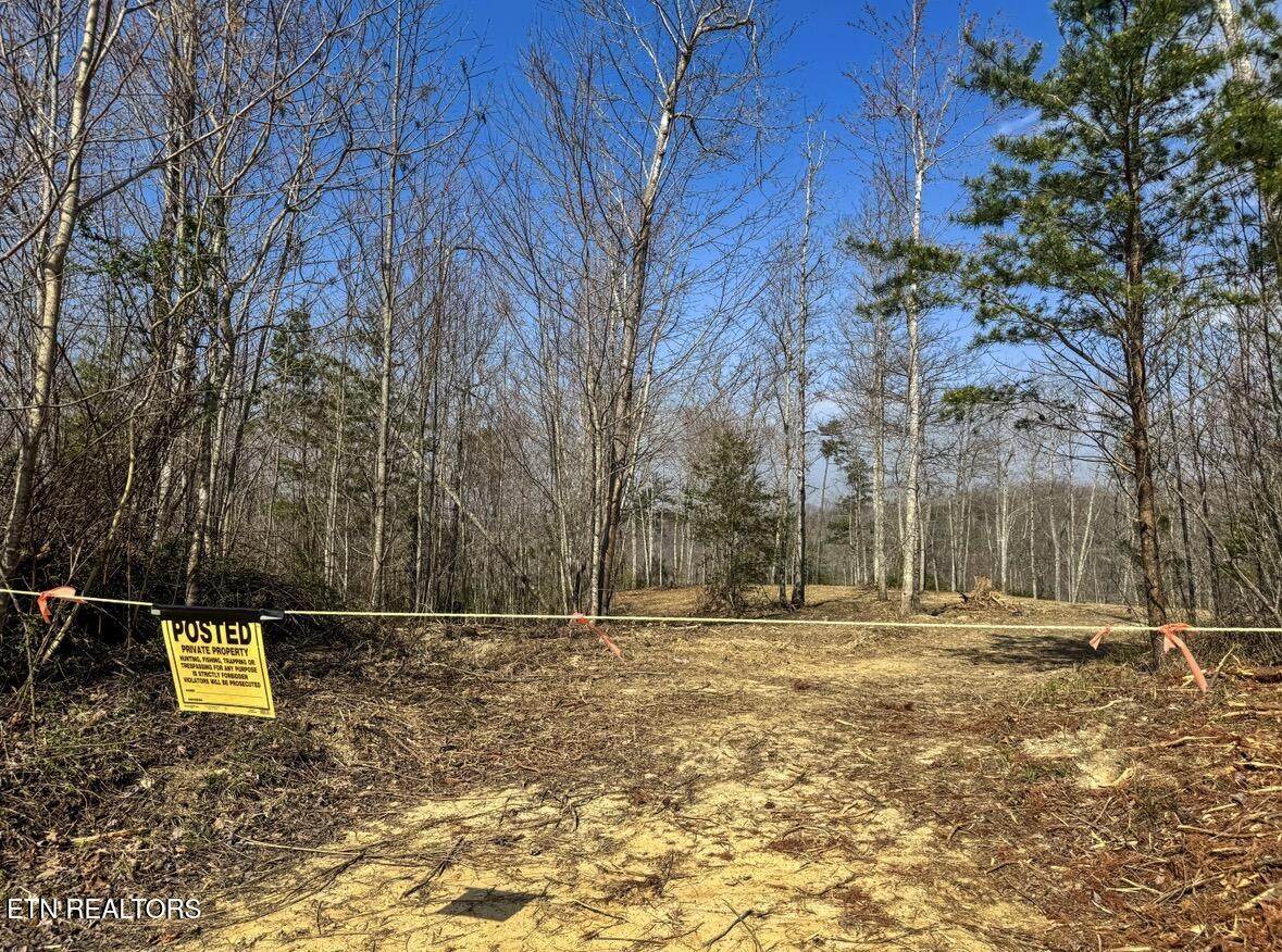  Clifty Creek Rd - Photo 1