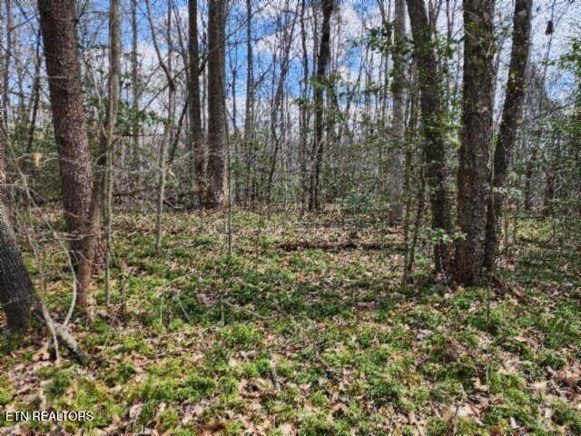 10.79ac S/O Buffalo Rd Rd - Photo 1