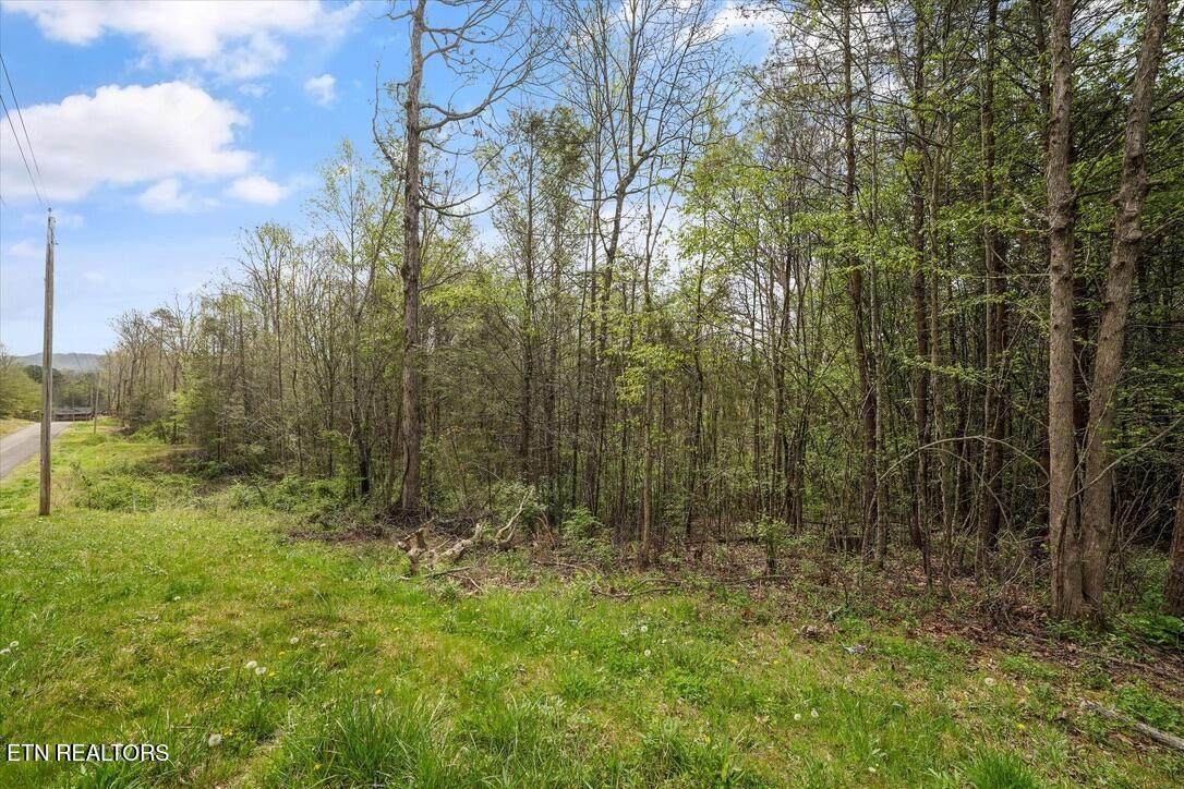 1433 Timber Trail - Photo 1