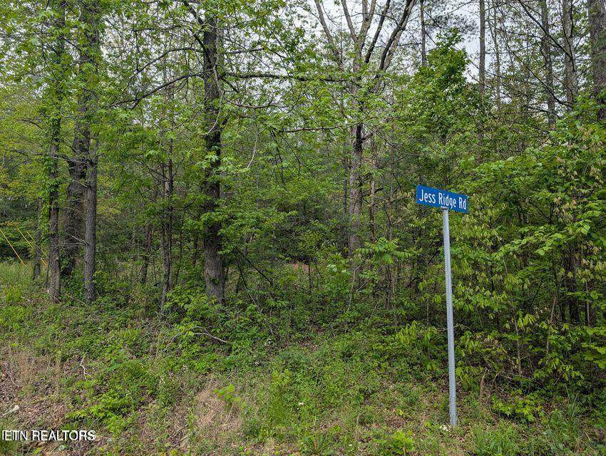 158 Jess Ridge Rd - Photo 1