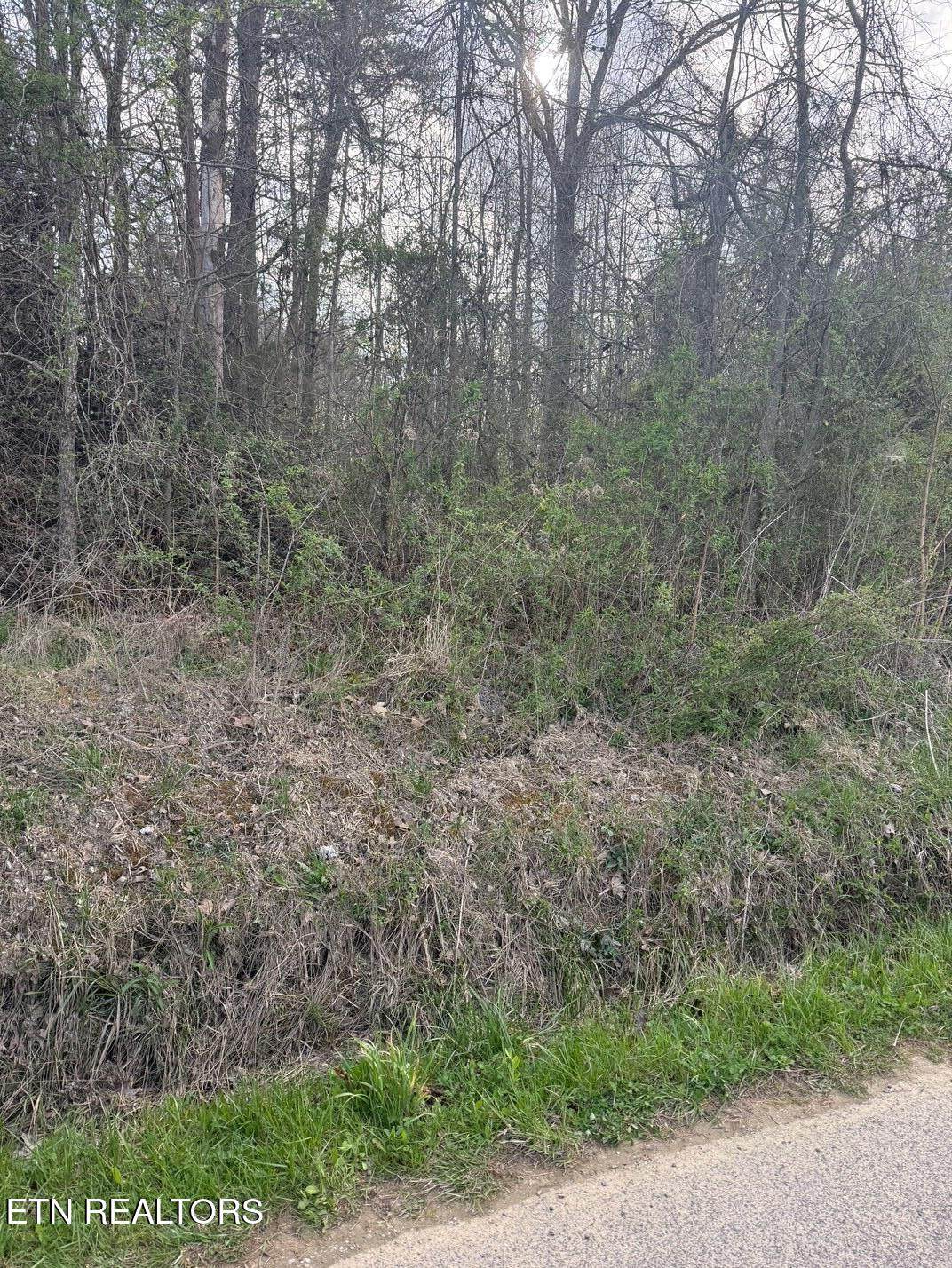  Griffith Rd - Photo 1