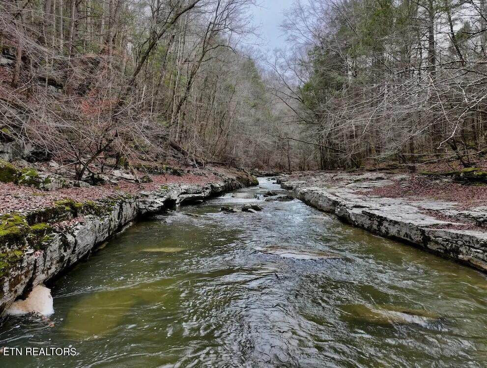 78ac Hollow Creek Lane - Photo 1