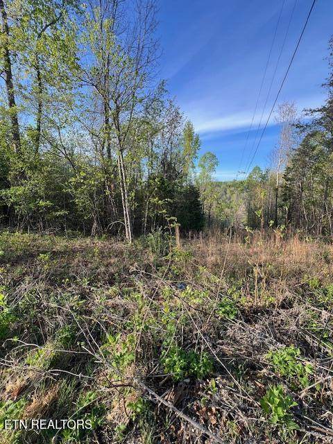  Pine Hollow Rd - Photo 1