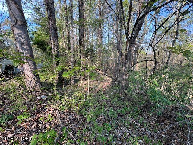  Pine Hollow Rd - Photo 1