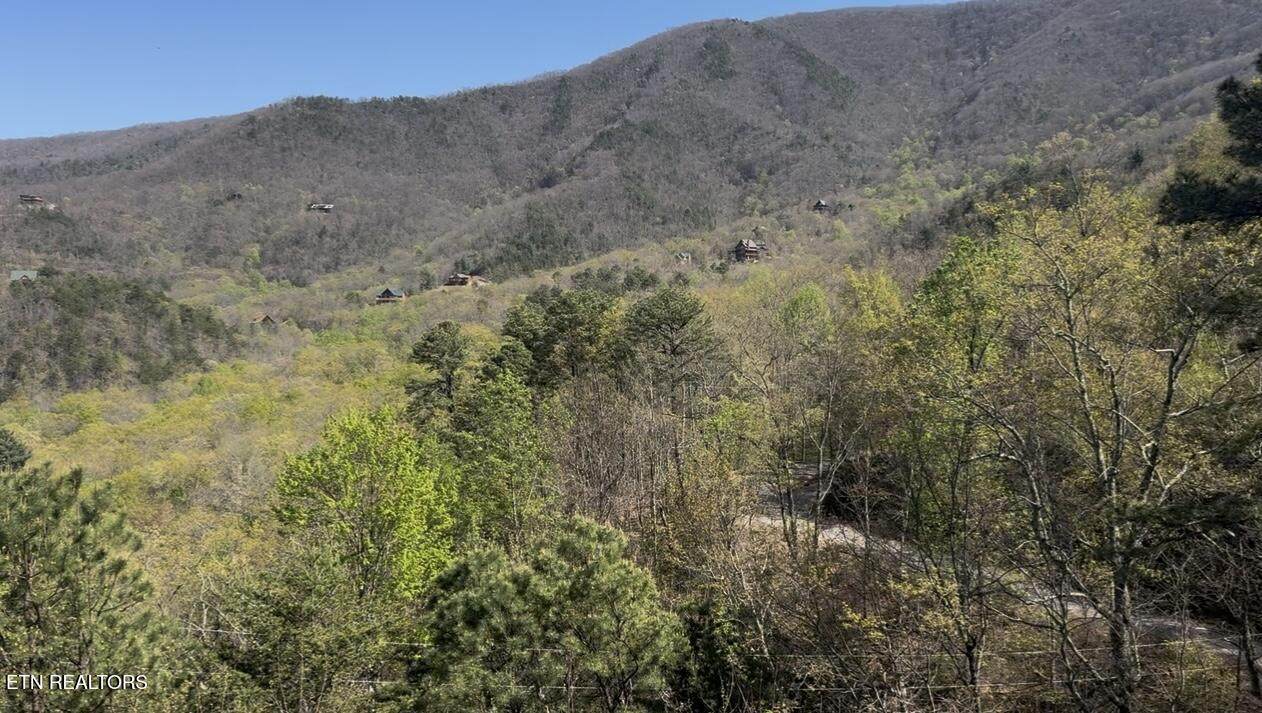 Lot 11 Perry Circle Lane - Photo 1