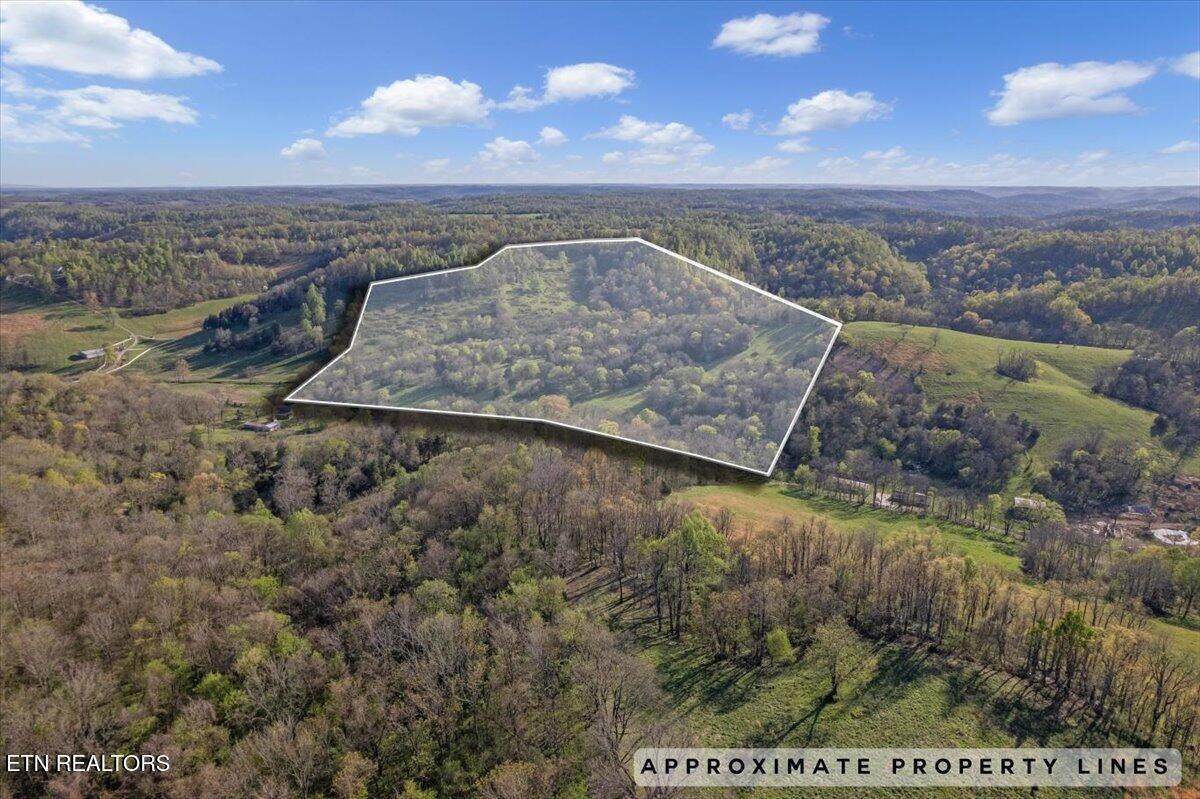 1624 Bartlett Hollow Rd - Photo 1