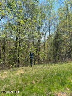 Lot 548 Marble Point Way - Photo 1