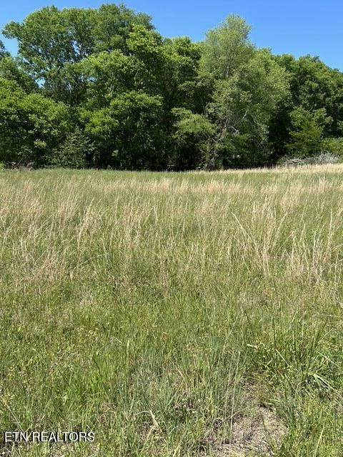 789 Smith Bend Lane - Photo 1