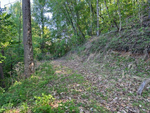  Dove View Rd - Photo 1