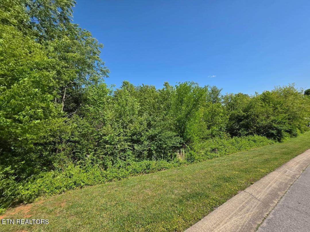 Lot 68 Southview Circle - Photo 1
