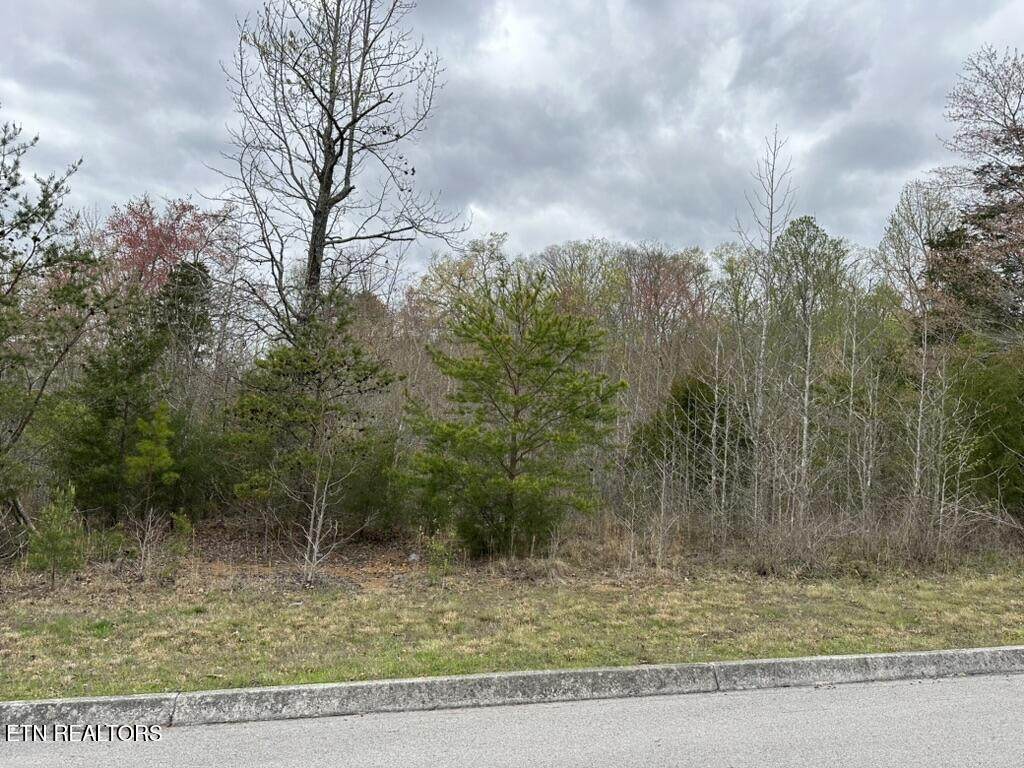 309 Caney View Drive - Photo 1