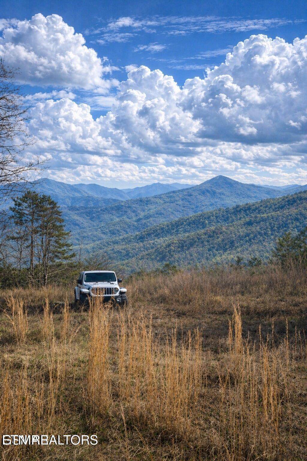 1440 Goose Gap Rd - Photo 1