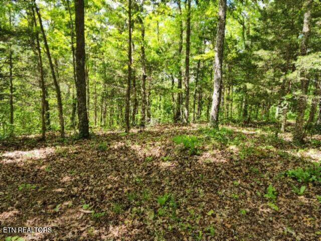 10.13ac Forest Trails Lane - Photo 1