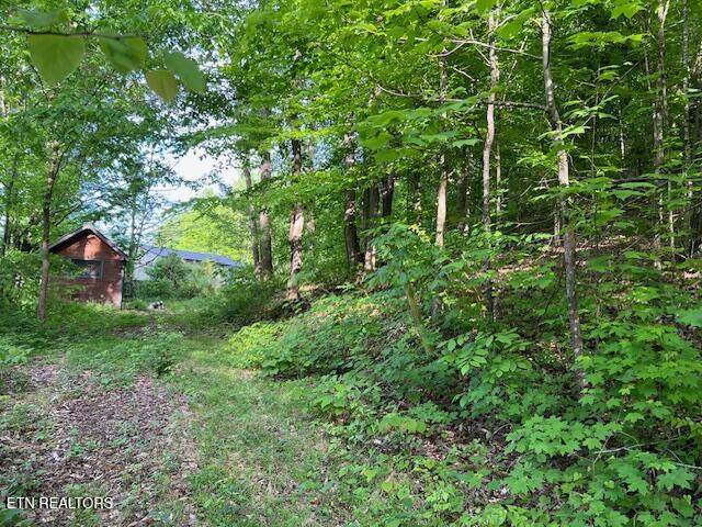  Rogers South Rd - Photo 1