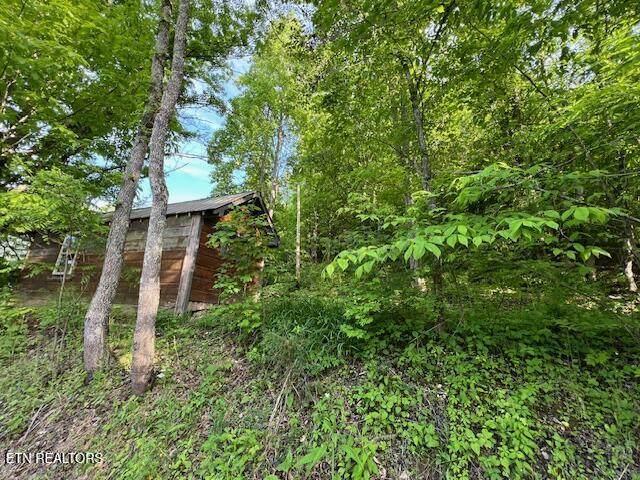 https://bt-photos.global.ssl.fastly.net/kaar/orig_boomver_1_1339022-2.jpg
