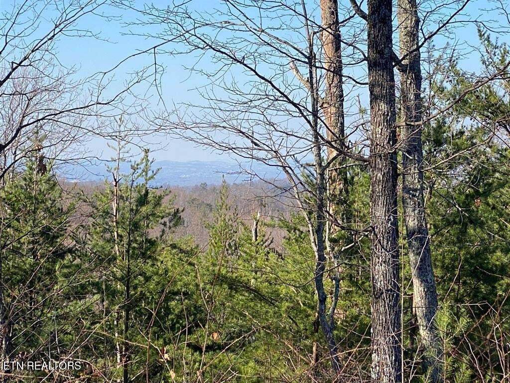  English Springs Way - Photo 1