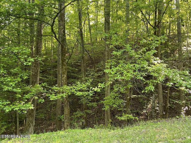 336-342 Omega Drive Drive - Photo 1