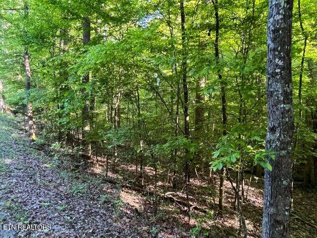 328-329 Omega Drive Drive - Photo 1