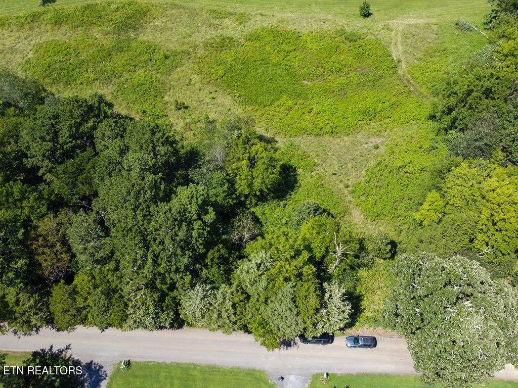 125 County Road 438 - Photo 1