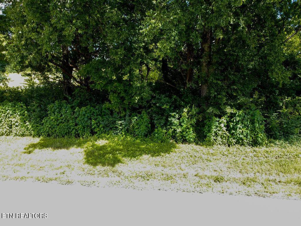 158 County Road 436 - Photo 1
