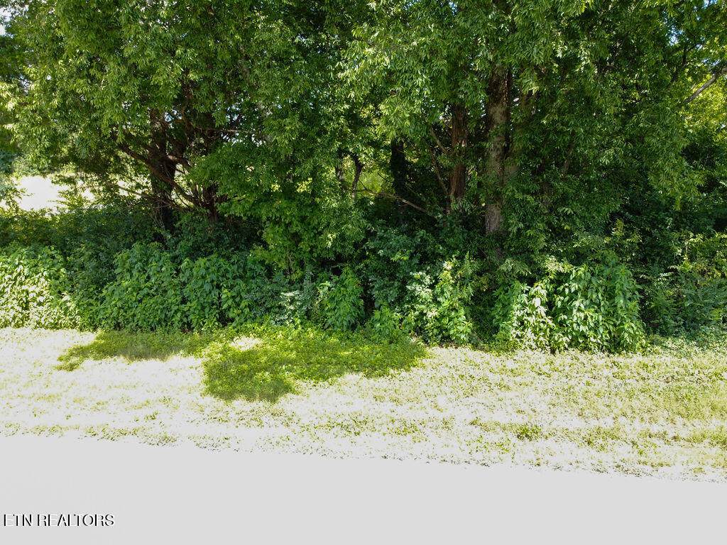 156 County Road 436 - Photo 1