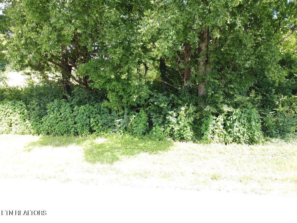 00 County Road 436 - Photo 1