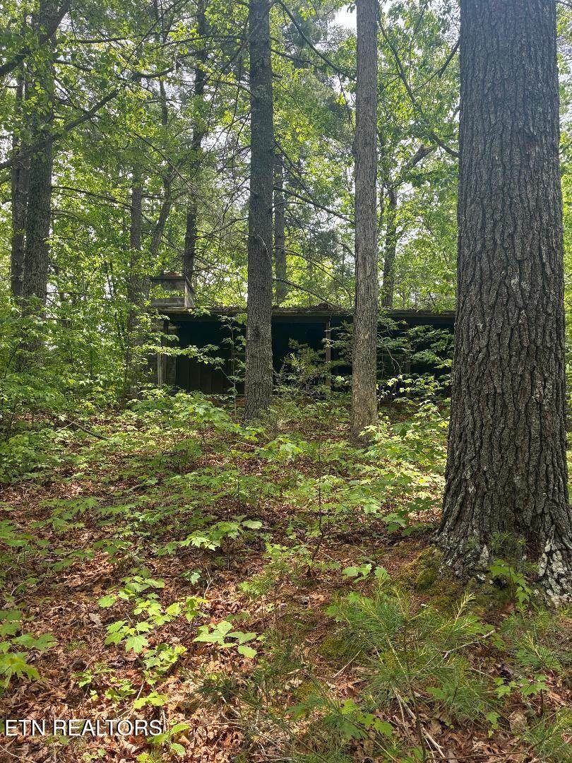  Mount Pleasant Rd - Photo 1