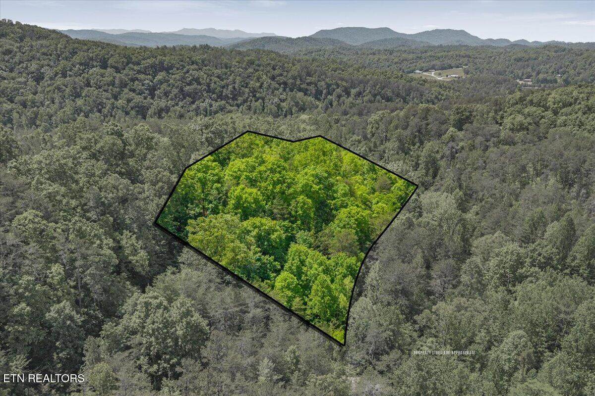 215 Citico Rd. Lot 1 Rd - Photo 1