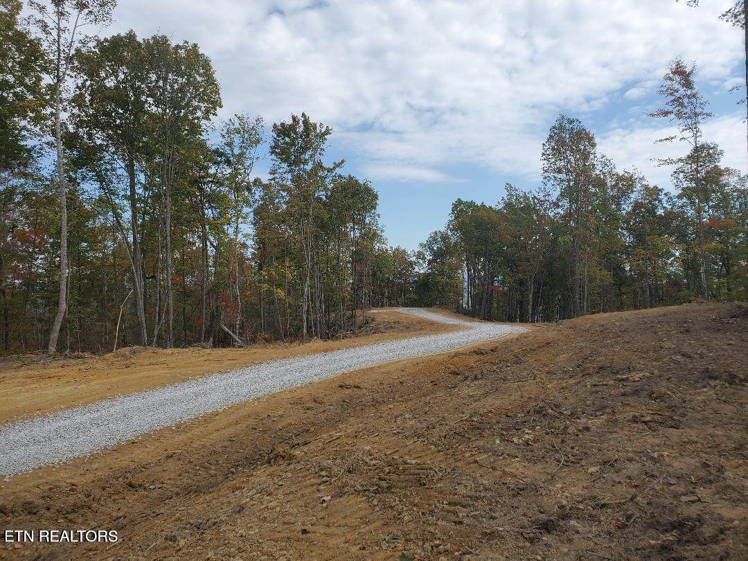  Bull Creek Rd S/0 - Photo 1