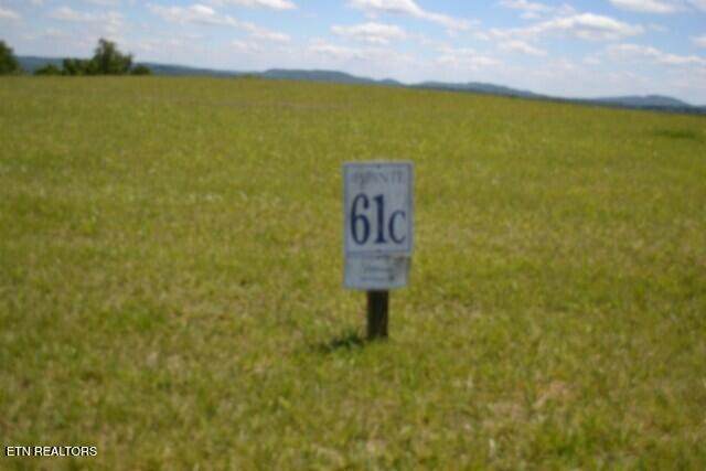 Lot 61C Walleye Rd - Photo 1