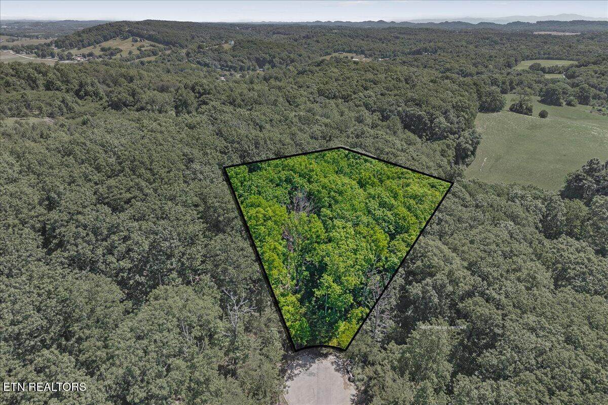 00 Poplar Lot 32 Drive - Photo 1