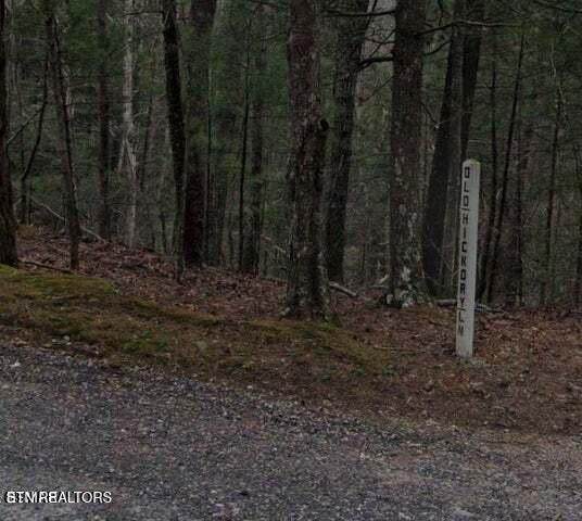 0 Old Hickory Lane - Photo 1