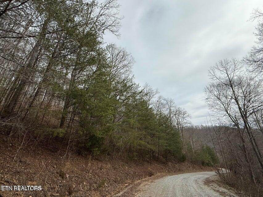  Jones Ridge Rd Rd - Photo 1