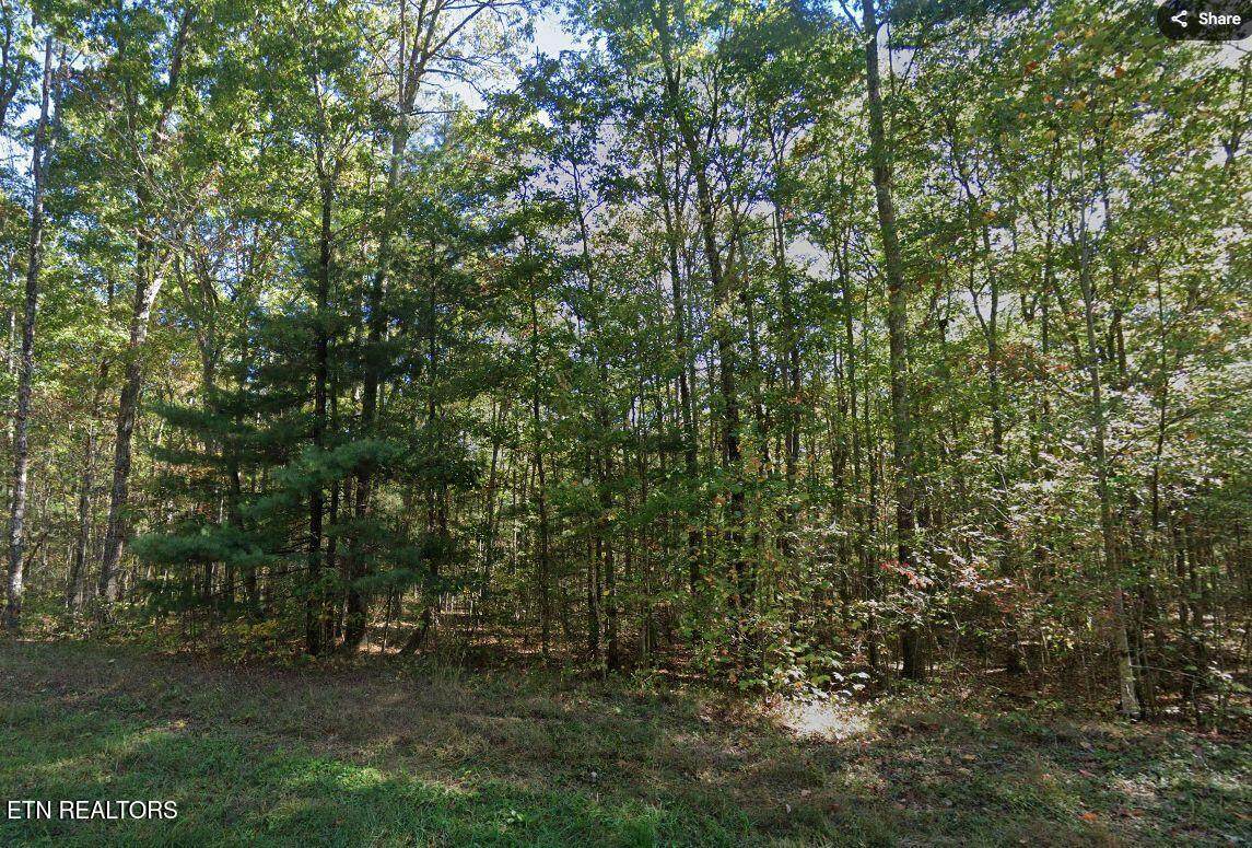 0 Jay Loop Rd - Photo 1