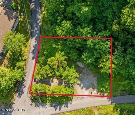 303 Silverbell Lane - Photo 1