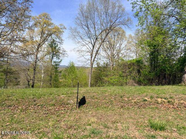 Lot 74 Saddleridge Drive - Photo 1