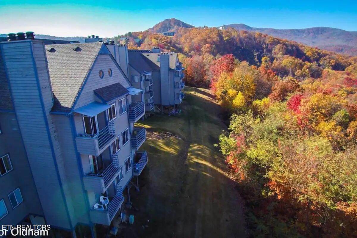 1260 Ski View Drive - Photo 1